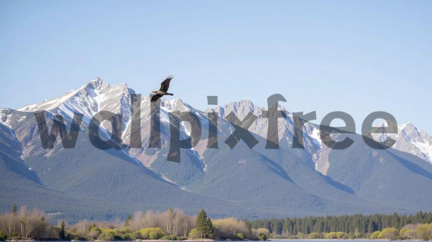 Bird Flying Over Snow Capped Mountains