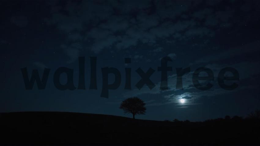 Moonlit Night with Tree Silhouette