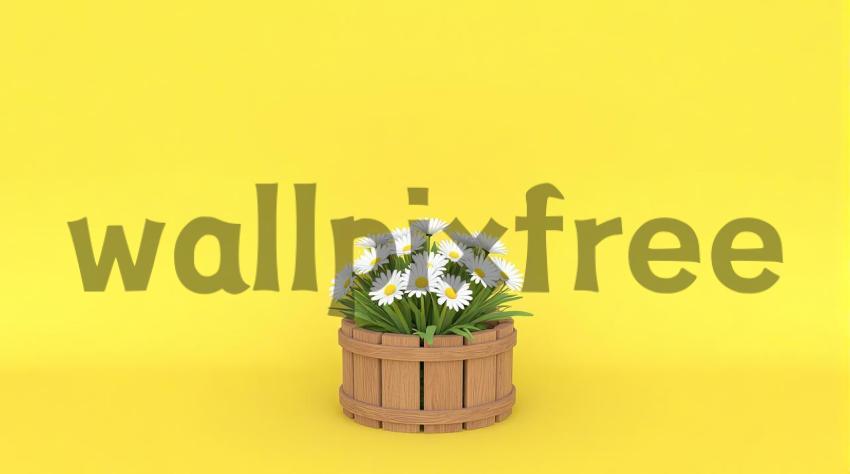 Daisies In Wooden Basket On Yellow Background